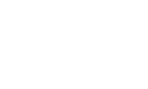 vidalogosites